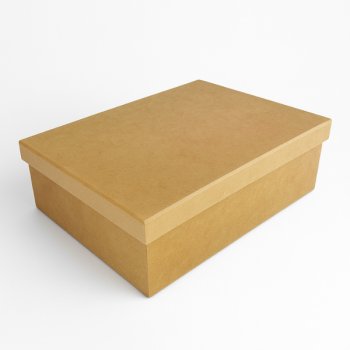 CAIXA 25 X 15 X 10